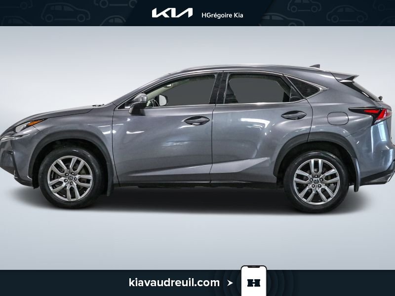 2021 Lexus NX 2021 Grey