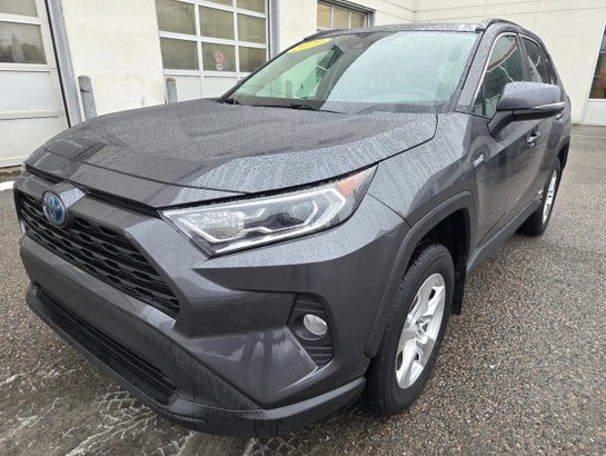 Toyota RAV4 2020 2020 Gris