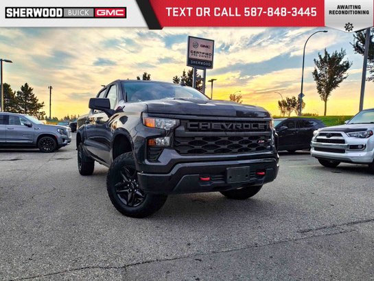 2024 Chevrolet Silverado 1500 2024 Grey