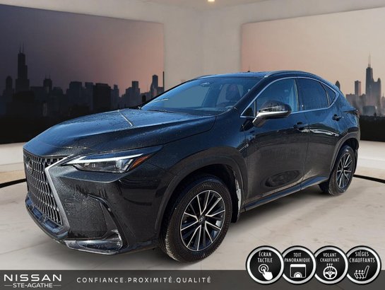 2025 Lexus NX 2025 Green