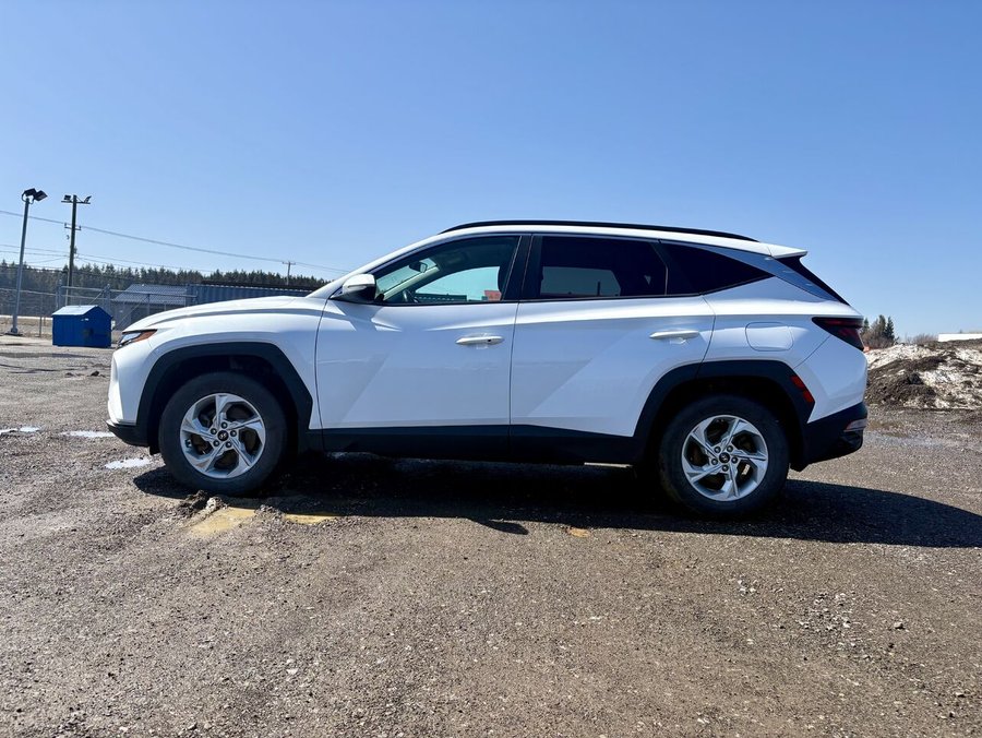 2022 Hyundai Tucson 2022 White