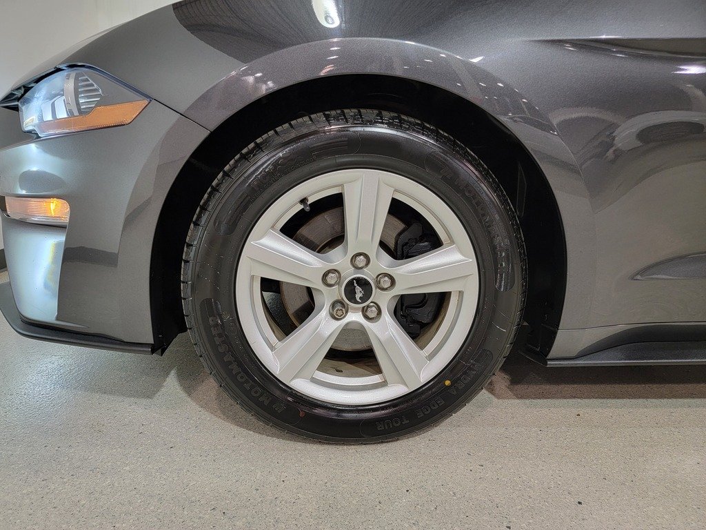 Ford Mustang EcoBoost Premium Fastback 2018 Gris Val-David - photo #32