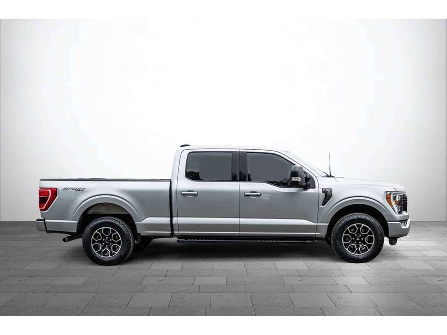 2023 Ford F-150 2023 gray