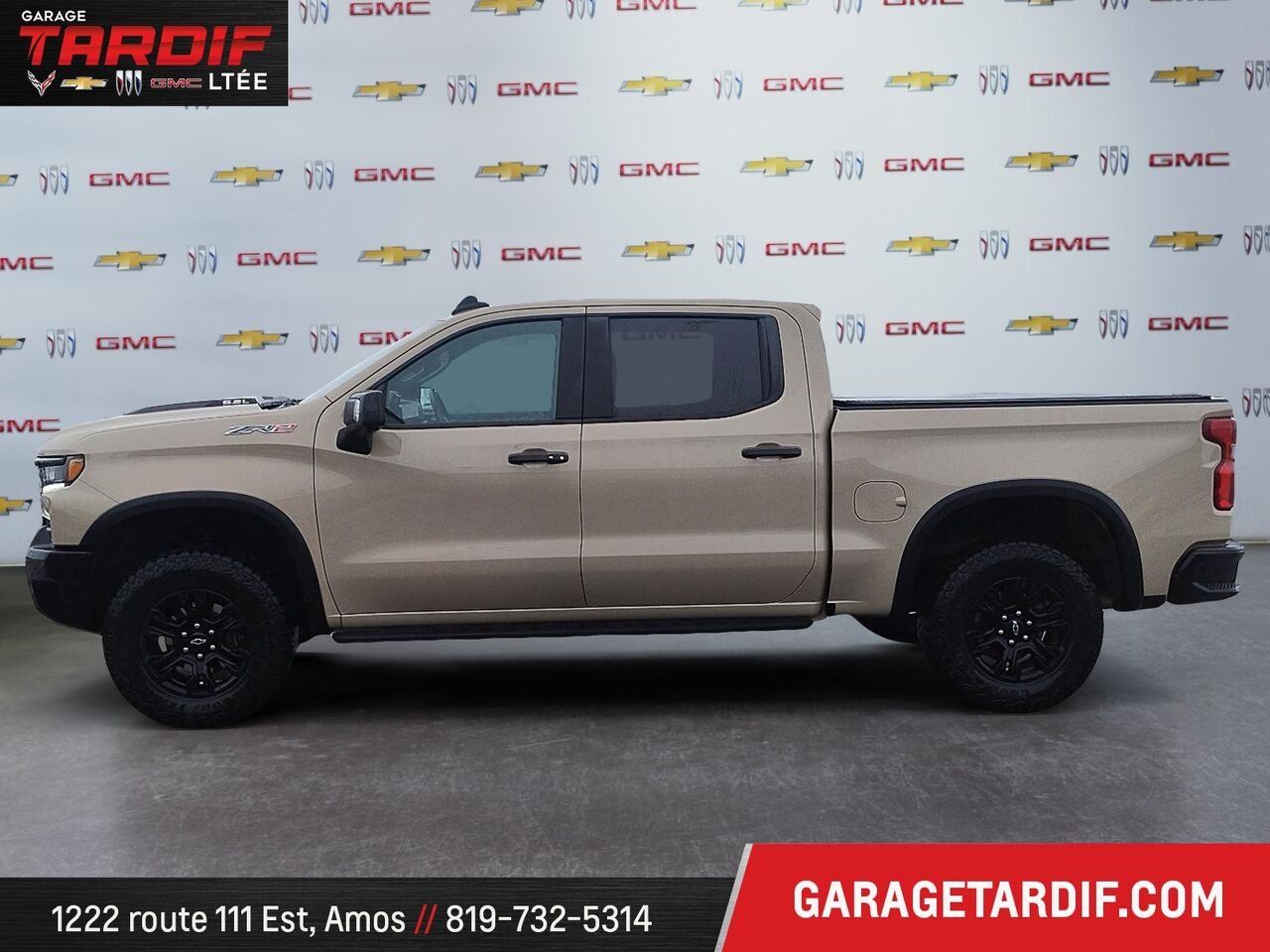 2022 Chevrolet Silverado 1500 Beige Amos - photo #4