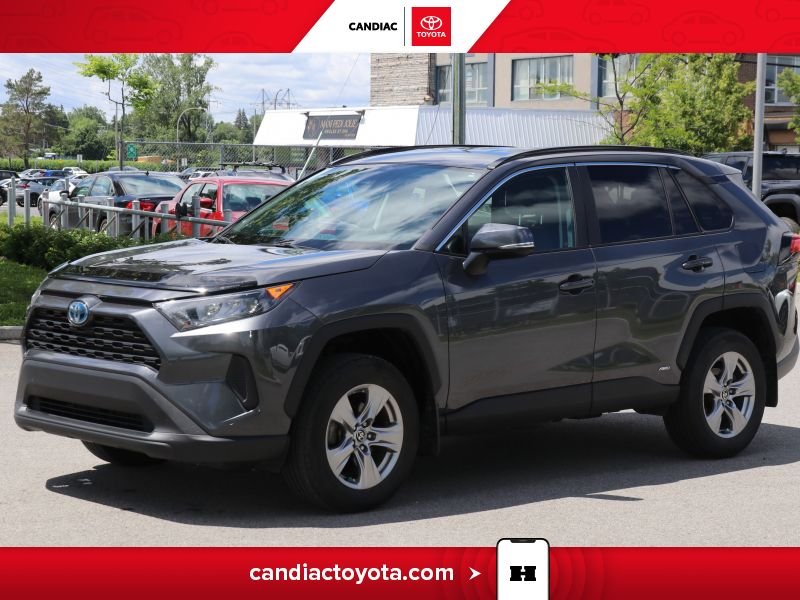 2022 Toyota Rav 4 2022 Grey
