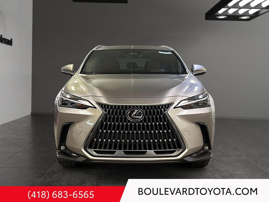 2024 Lexus NX 2024 Silver