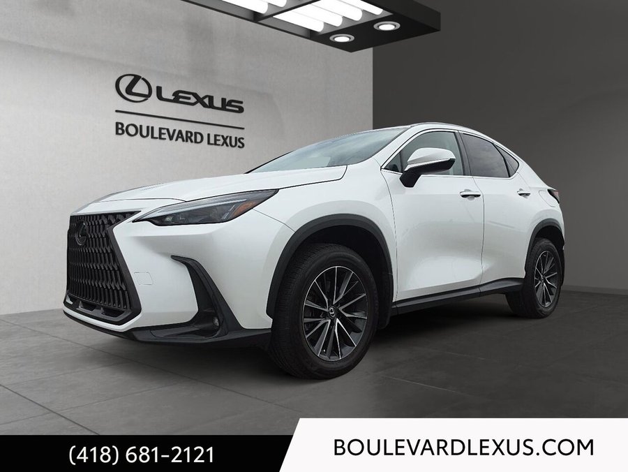 2022 Lexus NX 2022 White