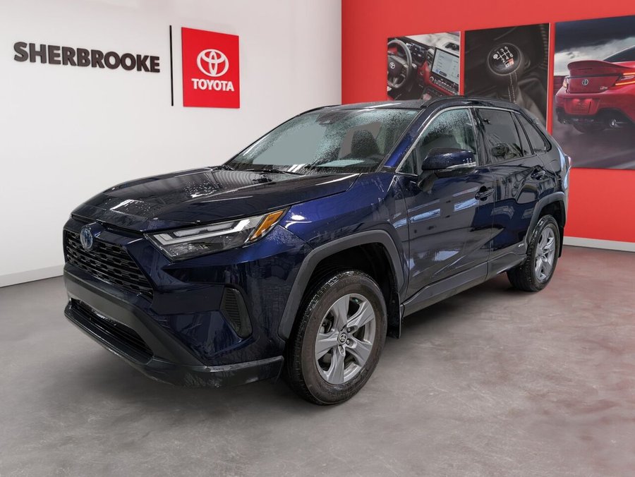 2024 Toyota RAV4 2024 Blue