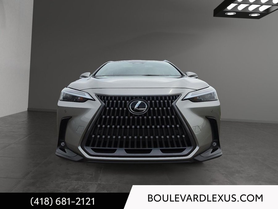 2024 Lexus NX 2024 Silver