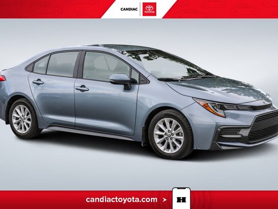 Toyota Corolla 2020 2020 Bleu