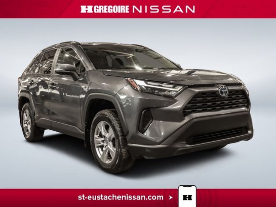 2022 Toyota Rav 4 2022 Grey