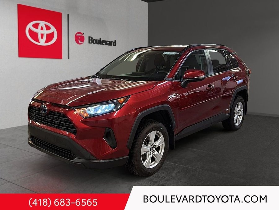Toyota RAV4 2020 2020 Rouge
