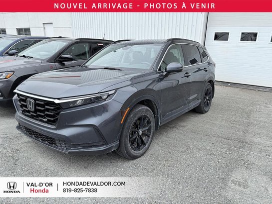 2023 Honda CR-V 2023 Grey