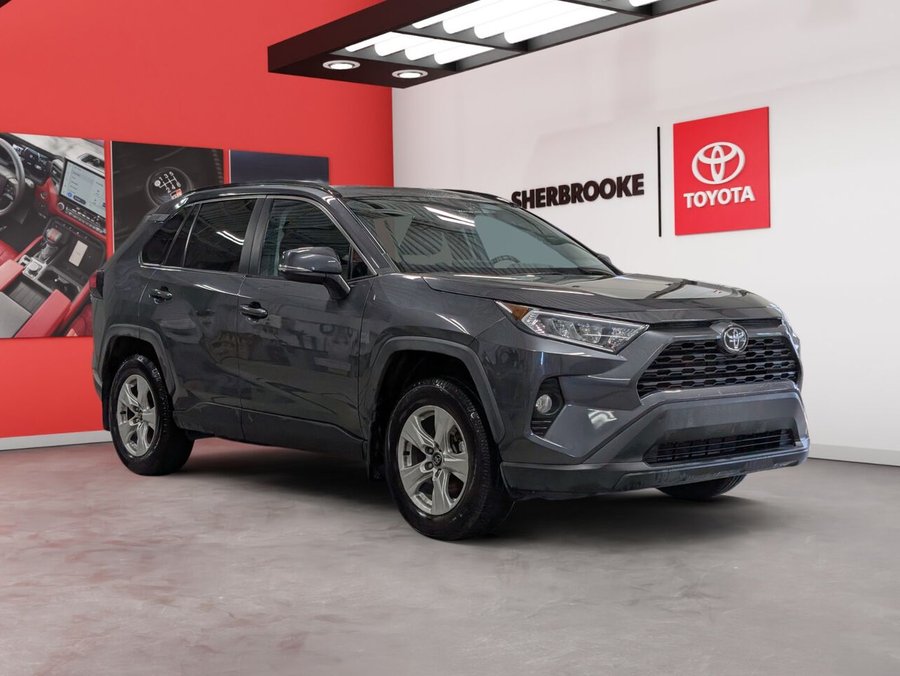 2019 Toyota RAV4 2019 Grey
