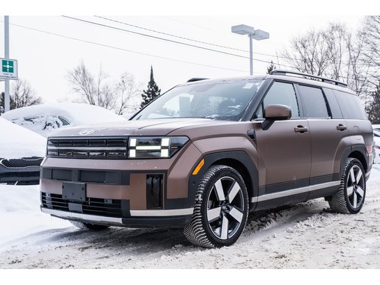 Hyundai Santa Fe 2024 2024 Brun