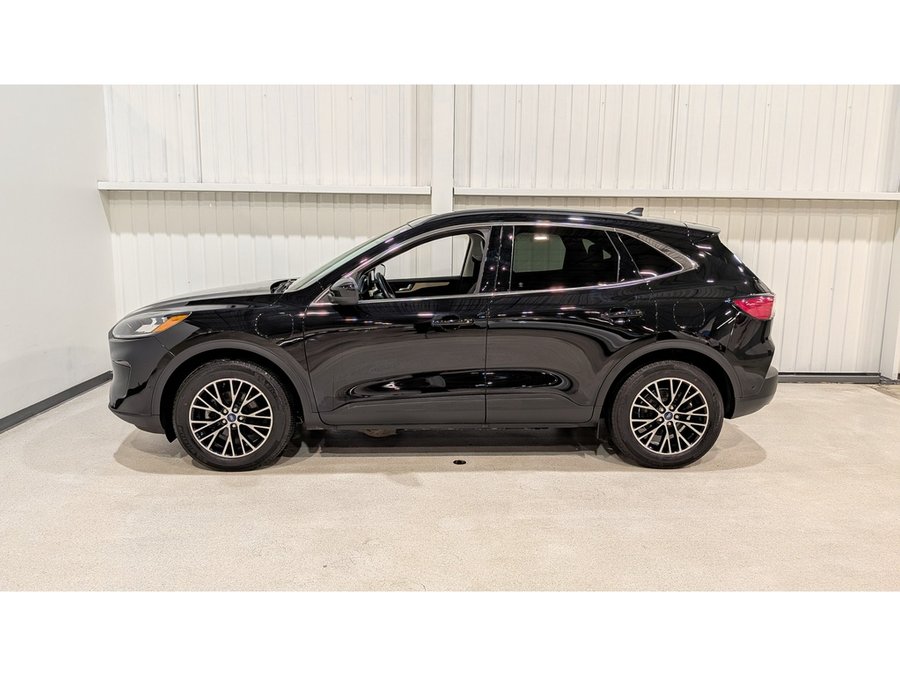 Ford Escape 2021 2021 Noir