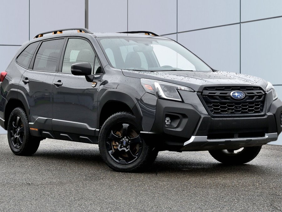 Subaru Forester Wilderness (CVT) 2023 Gris