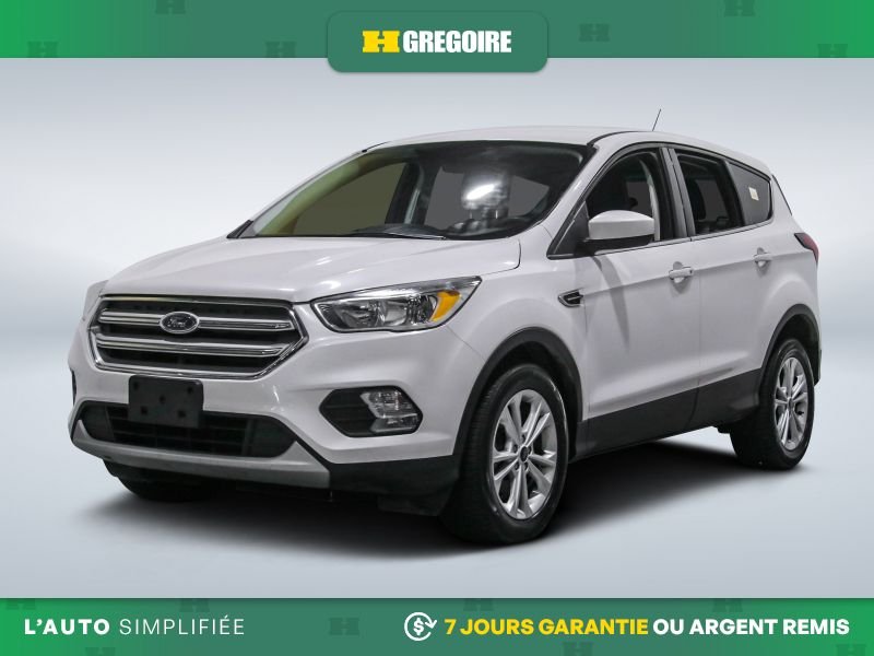 Ford Escape 2019 Blanc Laval - photo #2