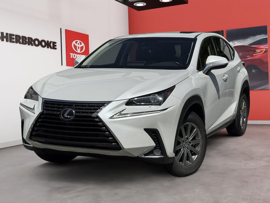 Lexus NX 300 HYBRIDE 2019 2019 Blanc
