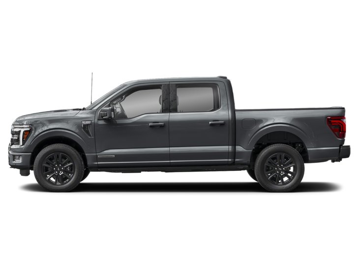 2025 Ford F-150 Platine