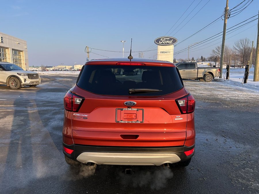 Ford ESCAPE 2019 2019 Rouge