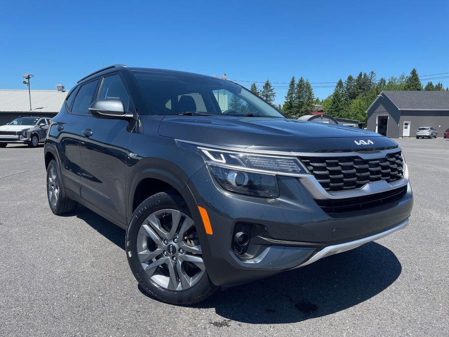 Kia Seltos 2022 2022 Gris
