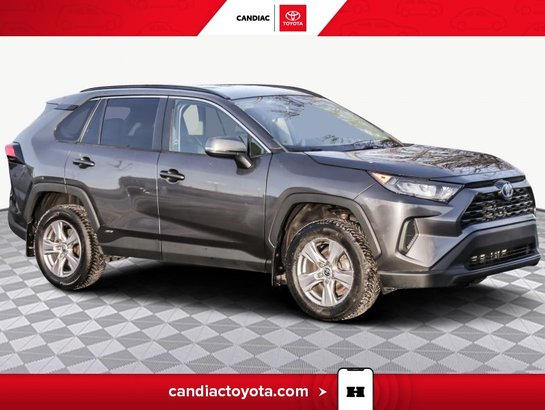 2022 Toyota Rav 4 2022 Grey