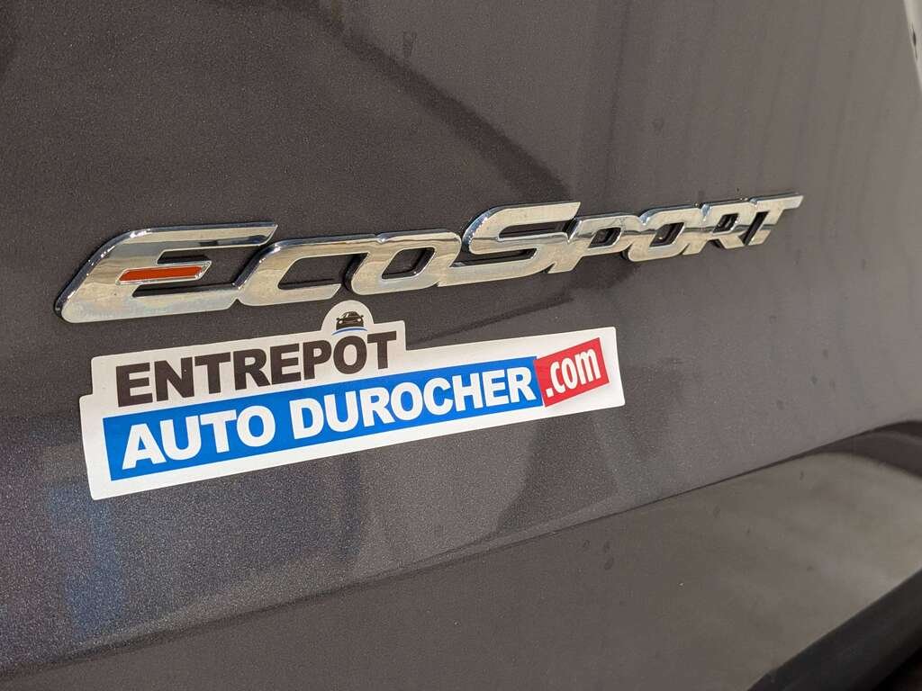 Ford EcoSport 2019 Gris Val-David - photo #32