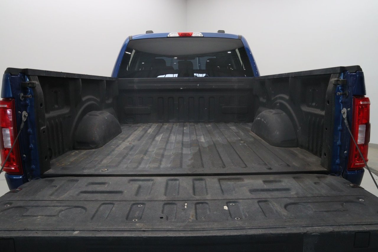 Ford F-150 NIV 1FTFW1E89PKE53982 2023 Bleu Chicoutimi - photo #16
