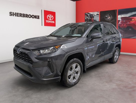 Toyota RAV4 Hybride 2023 2023 Gris