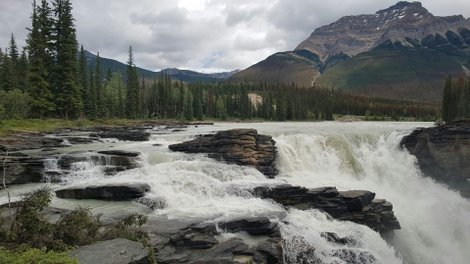 Subaru Canada renouvelle son appui à Parcs Canada