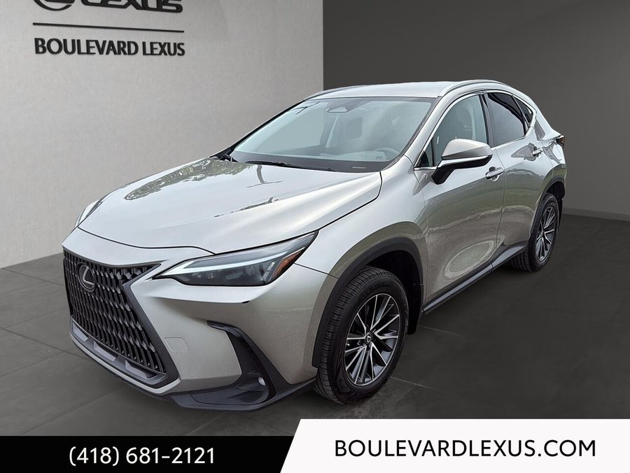 Lexus NX 2023 2023 Argent