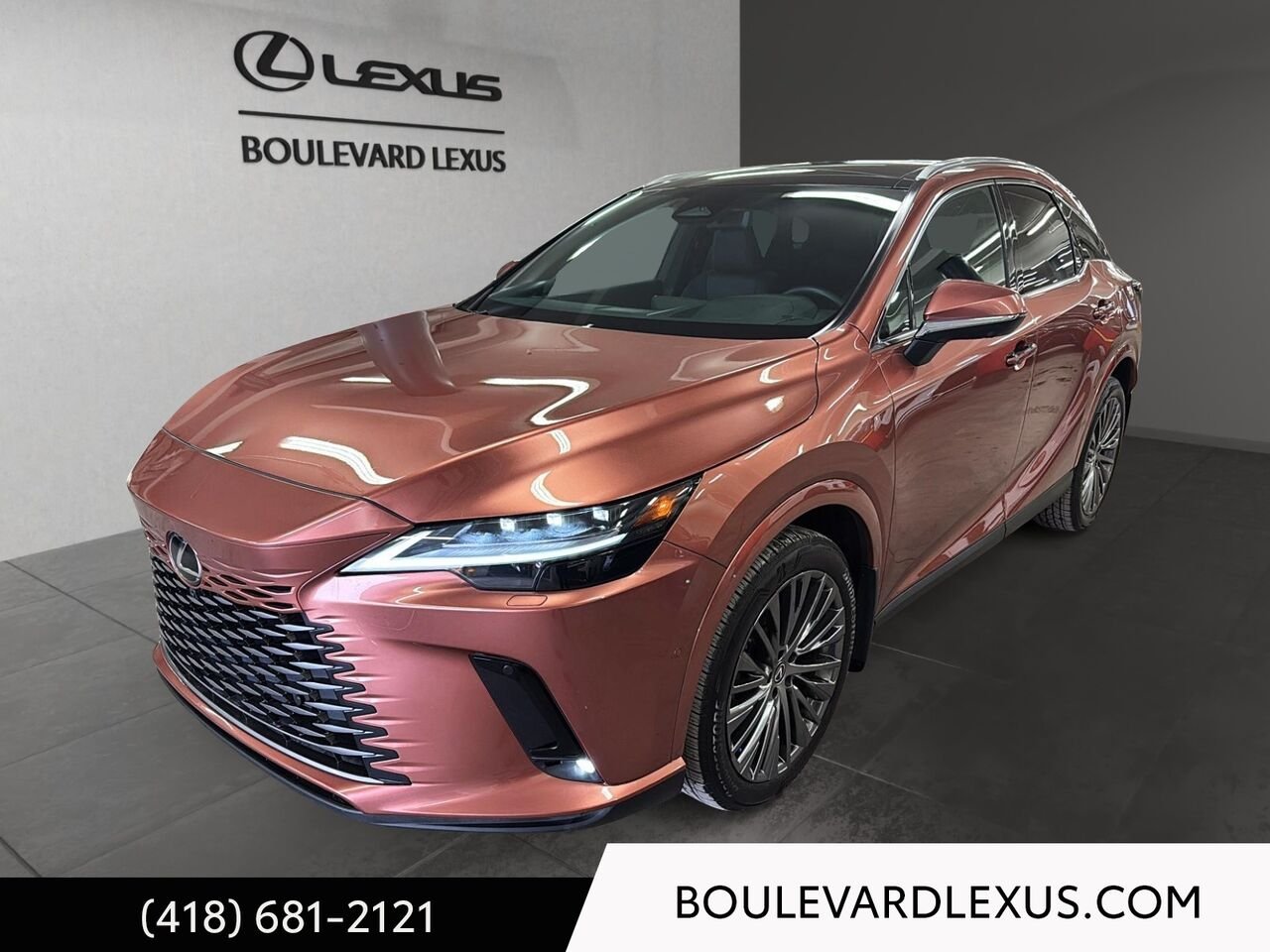 Lexus RX 19503A 2024 Bronze Québec - photo #0