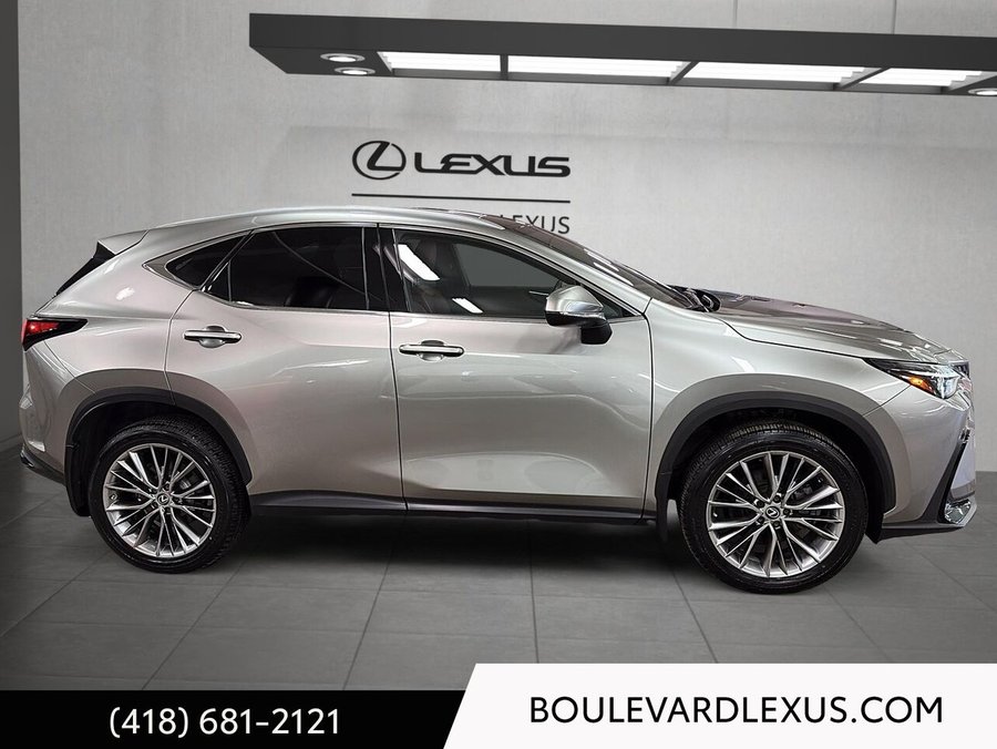 Lexus NX 2022 2022 Argent