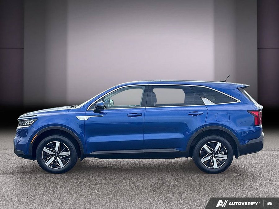 Kia Sorento 2021 2021 Bleu