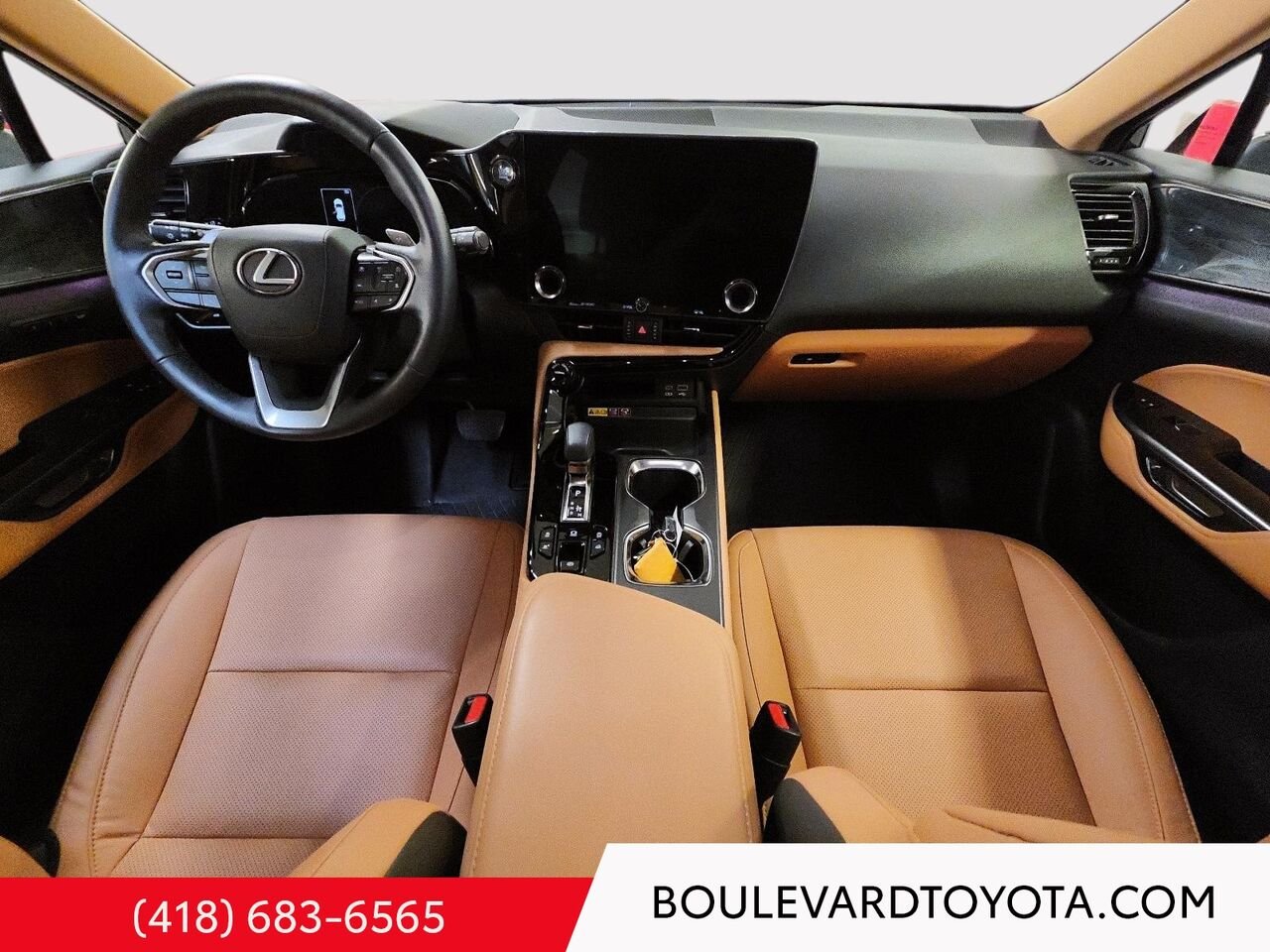 2024 Lexus NX 531802-68 | NX 350 Black Québec - photo #17