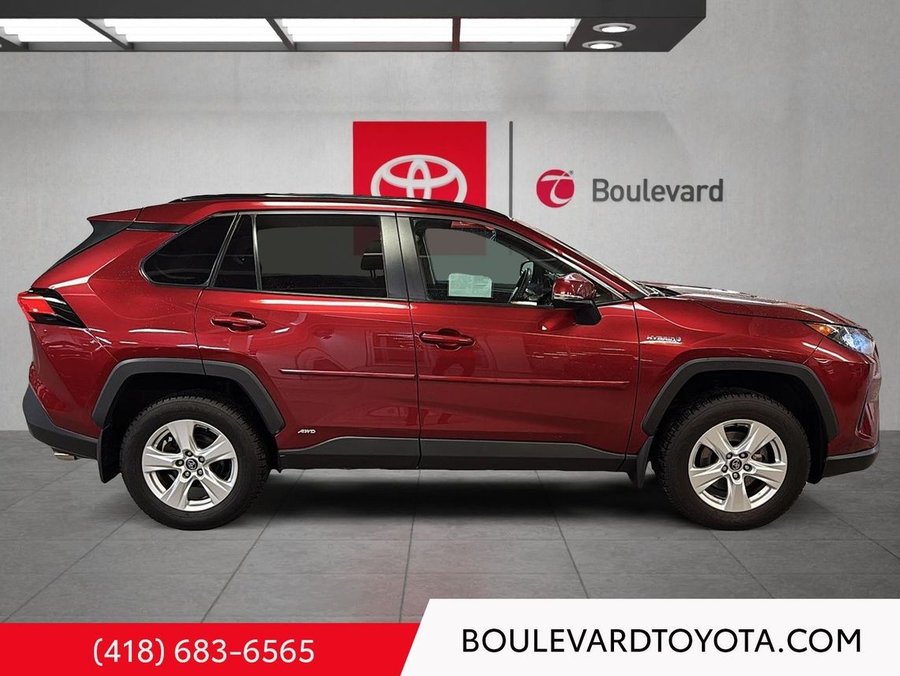 Toyota RAV4 2020 2020 Rouge