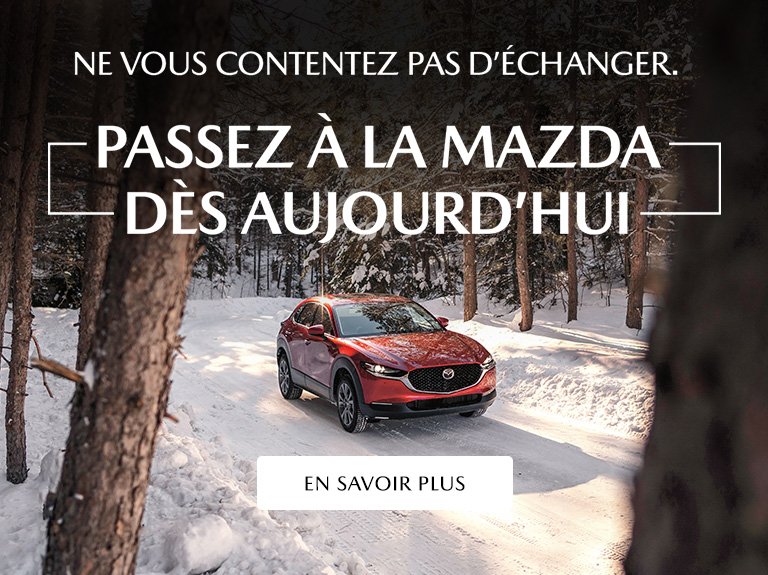 REFS 9337_PLM   Trade & Credit Update _ Evergreen_01_FR_WB_1140 x 386