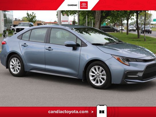 Toyota Corolla 2020 2020 Bleu