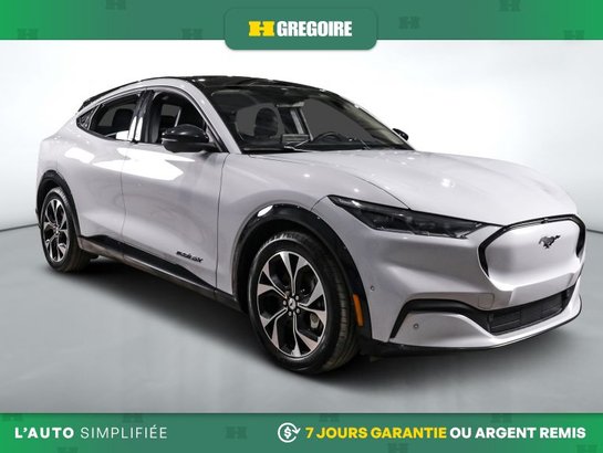 Ford Mustang Mach-E 2021 2021 Argent