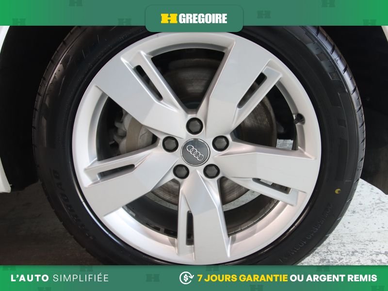 Audi Q5 2019 Blanc Laval - photo #8