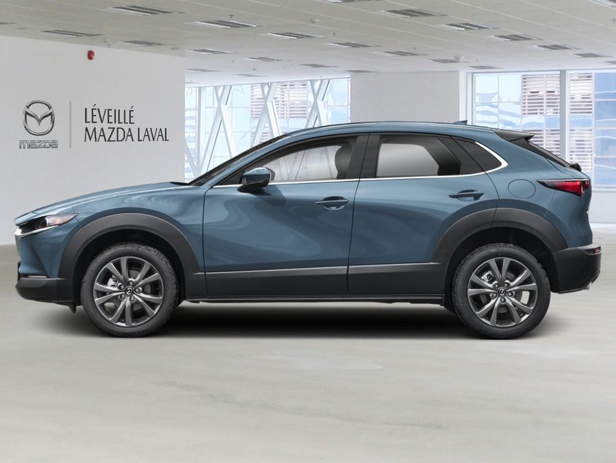 Mazda CX-30 2026 2026 Gris polymétal métallisé