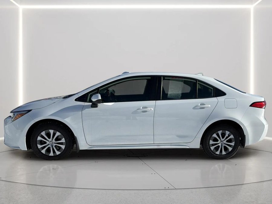 TOYOTA Corolla Hybride 2024 2024 Blanc