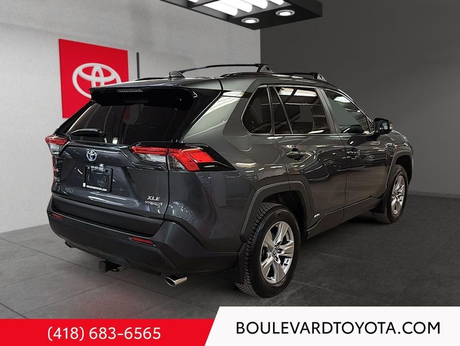 Toyota RAV4 2023 2023 Gris