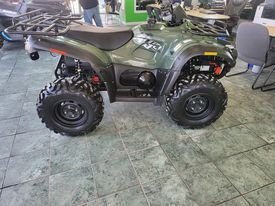 2021 Argo Xplorer 500 Green  - photo #4
