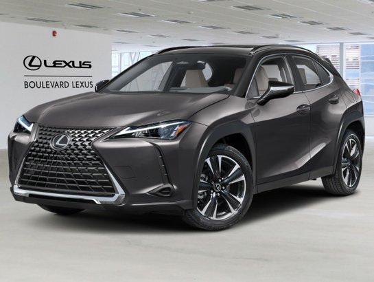 Lexus UX 2025 2025 Gris