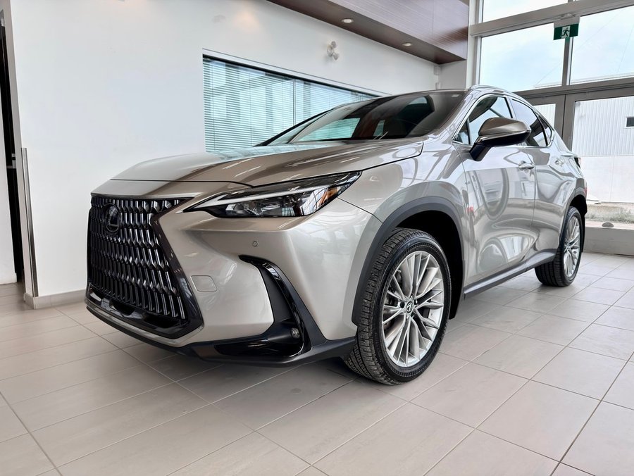 Lexus NX 2022 2022 Gris