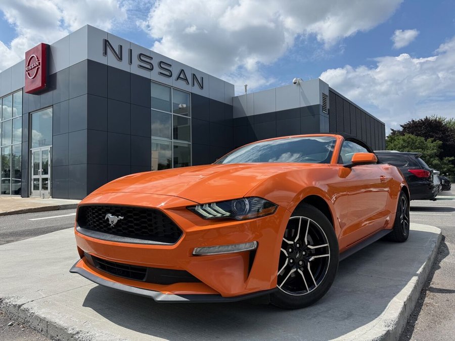 2020 Ford Mustang 2020 Orange