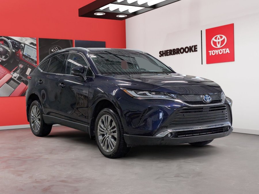 Toyota Venza 2023 2023 Bleu