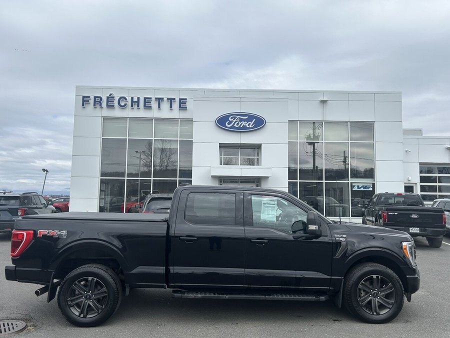 Ford F-150 XLT 2022 2022 Noir